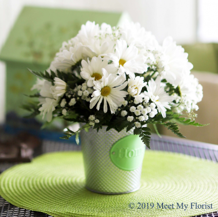 Dainty Daisies Butte Collection
