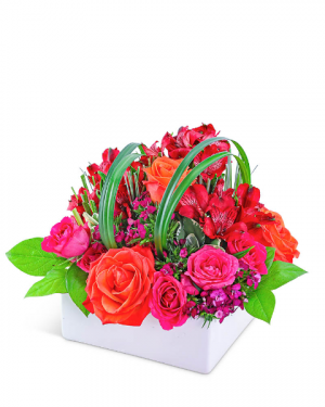 Daiquiri Delight Flower Arrangement in Nevada, IA | Flower Bed Daiquiri Delight Flower Arrangement in Nevada, IA | Flower Bed