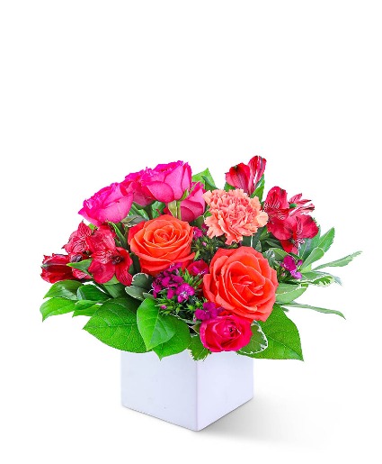 Daiquiri Flower Arrangement