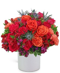 Daiquiri Luxe Flower Arrangement