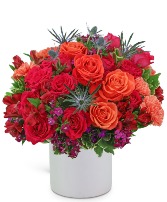 Daiquiri Luxe Flower Arrangement