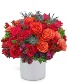 Daiquiri Luxe Flower Arrangement