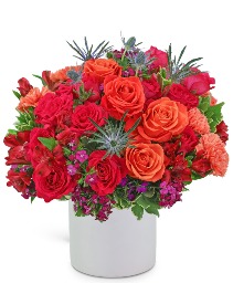 Daiquiri Luxe Flower Arrangement