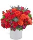 Daiquiri Luxe Flower Arrangement