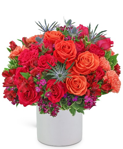 Daiquiri Luxe Flower Arrangement