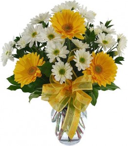 DAISY CHEER Vase Arrangement in Port Stanley, ON | Flowers By Rosita DAISY CHEER Vase Arrangement in Port Stanley, ON | Flowers By Rosita