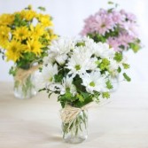 Daisey Day Vase of fresh daisey(various colors may apply) in Bossier City, Louisiana | FORGET ME NOT FLORIST