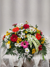 Daisies and more Daisies Casket spray