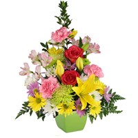 Daisies And Such Mix of Daisies, Roses, Mums, Lilies and More! in Clearwater, FL | FLOWERAMA Daisies And Such Mix of Daisies, Roses, Mums, Lilies and More! in Clearwater, FL | FLOWERAMA
