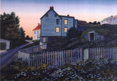 Daisies at dusk King's Cove Ed Roche Prints