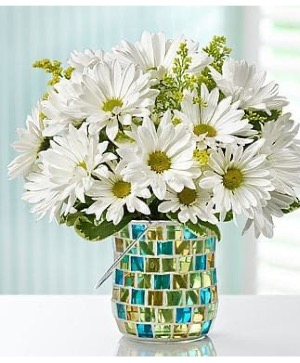 Daisies day Fresh flowers 