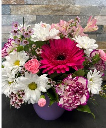 Daisies Delight 