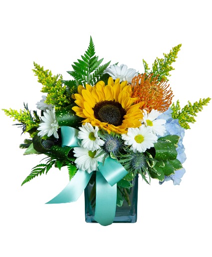 Daisies for Baby All Around Arrangement