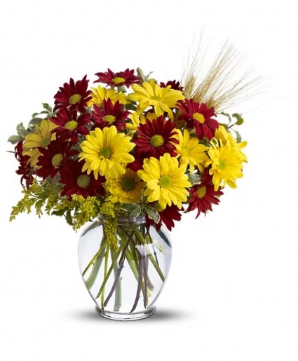 Daisies for Fall