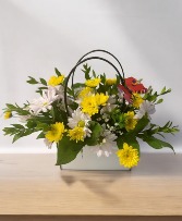 Daisies in the purse Vase arrangement 