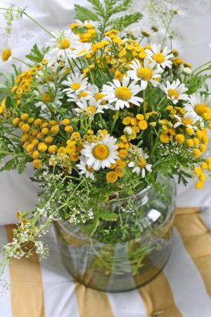 Daisies n Tansy Mother's Day