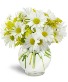 Purchase this funeral home arrangement