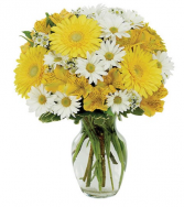 Daisy A Day Bouquet