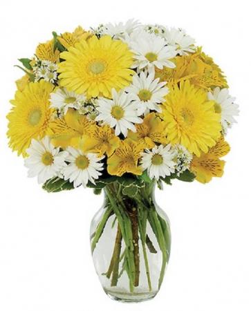 Daisy A Day Bouquet