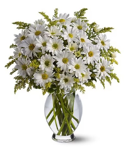 Daisy Arrangement