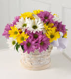 Daisy Basket Arrangement