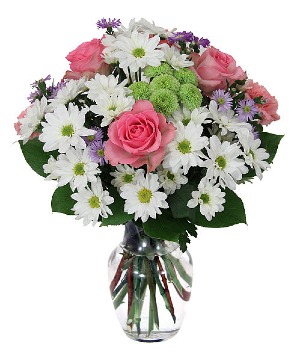 Daisy Blush Arrangement