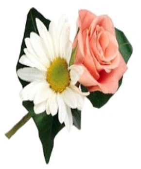 DAISY BOUTONNIERE