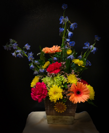 Daisy Box