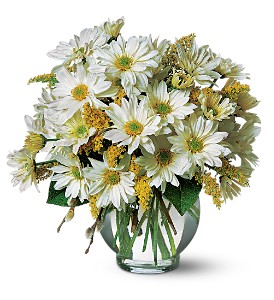 Daisy Cheer                          TF58-3 vase arrangement
