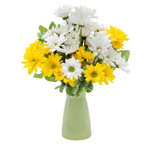 Daisy Craisy Arrangement
