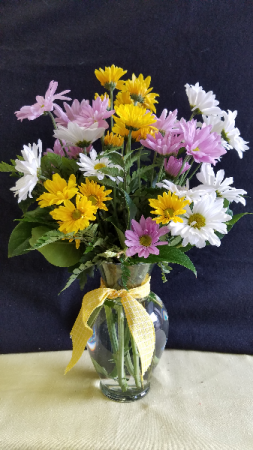 Daisy Crazy Vase