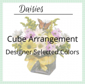 Daisy Cube
