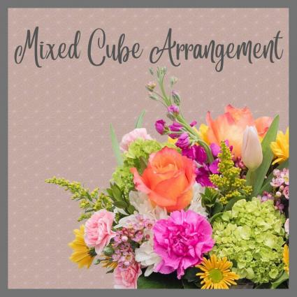 Daisy-Cube Arrangement