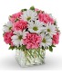 Daisy Cube 