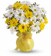 Daisy Daisy Vase of daisies