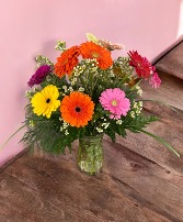 Daisy Darling Floral Arrangement