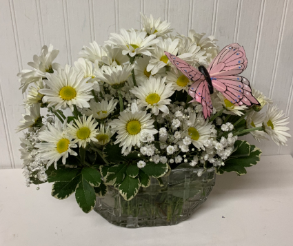 Daisy Daydream