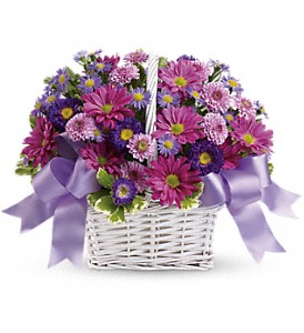 Daisy Daydreams - 639 Flower arrangement 