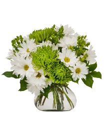 Daisy Daydreams Flower Arrangement