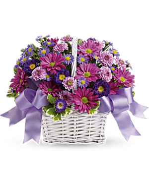 Daisy Daydreams T112105A Everyday