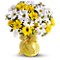 Daisy Days Bouquet