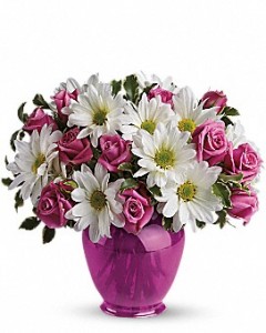 Daisy Delight