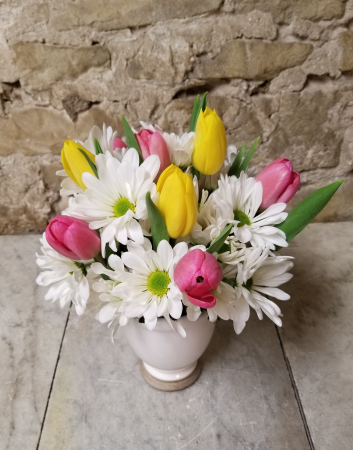 Daisy Delight
