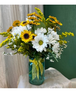 DAISY DELIGHT Designer's Choice