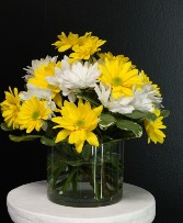 Daisy Delight-NFS-A6 Short clear vase