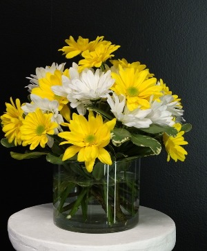 Daisy Delight-NFS-A6 Short clear vase