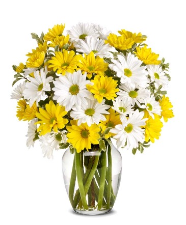 Daisy Delight  vase  in Glen Burnie, MD | FORGET ME NOT FLOWERS AND GIFTS