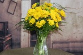 Daisy Delight Yellow 