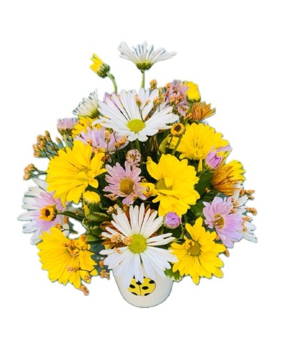 Daisy Doodle Fresh Centerpiece Arrangement 