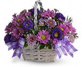 Daisy Dreams Daisy Basket Bouquet